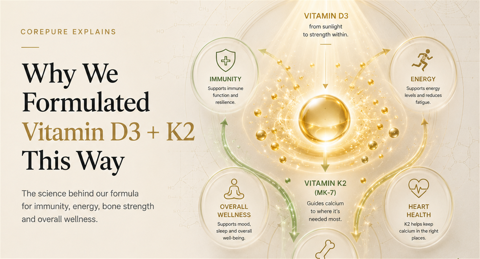 CorePure D3 + K2 formulation article cover