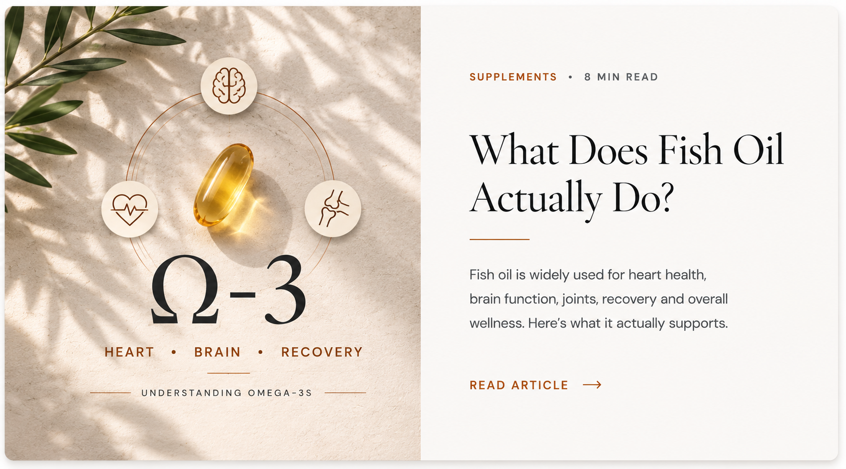 What fish oil does article thumbnail